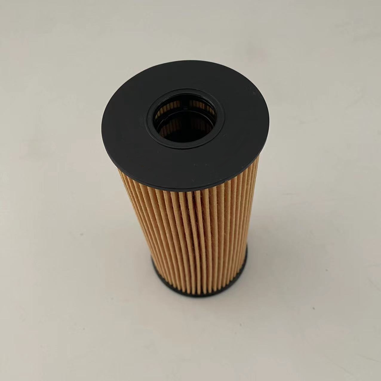 Filteri za ulje 1012014-FD2301